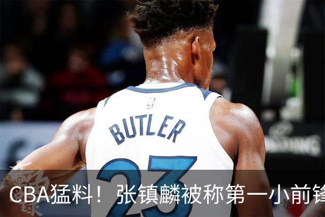 CBA猛料!张镇麟被称第一小前锋,麦基比赛态度变好,拉塞尔伤病出炉